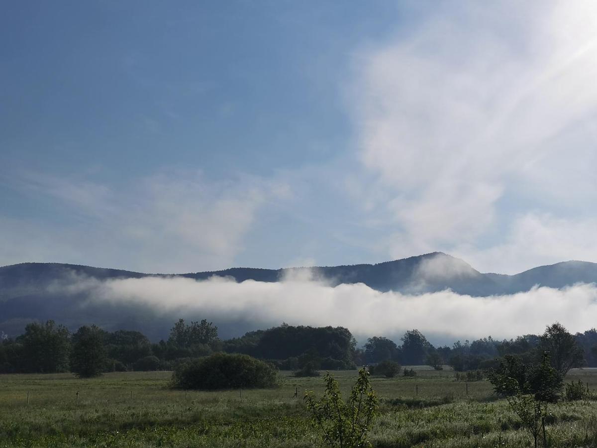 Vila Antik Ilirska Bistrica Bagian luar foto